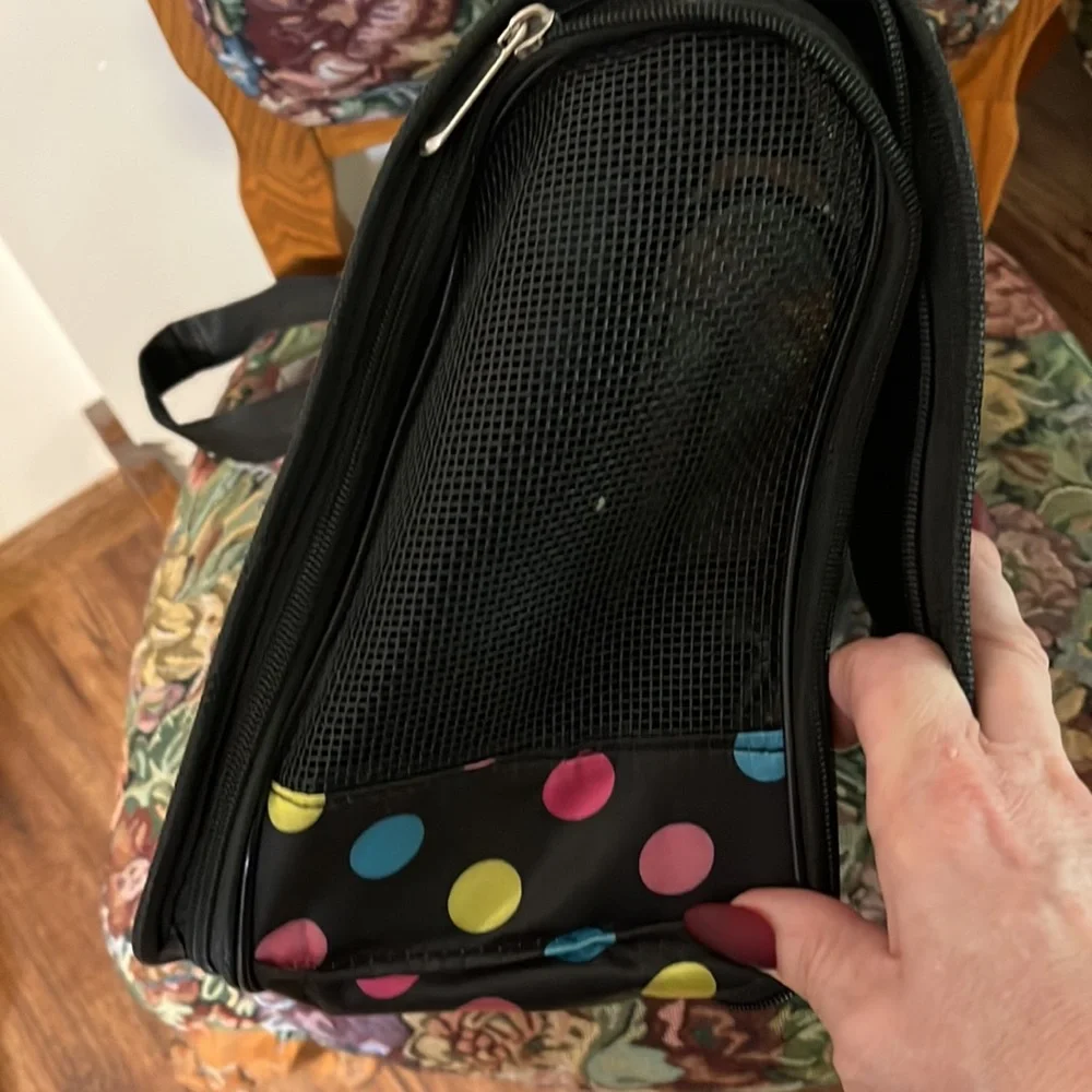 Polka dot pet carrier